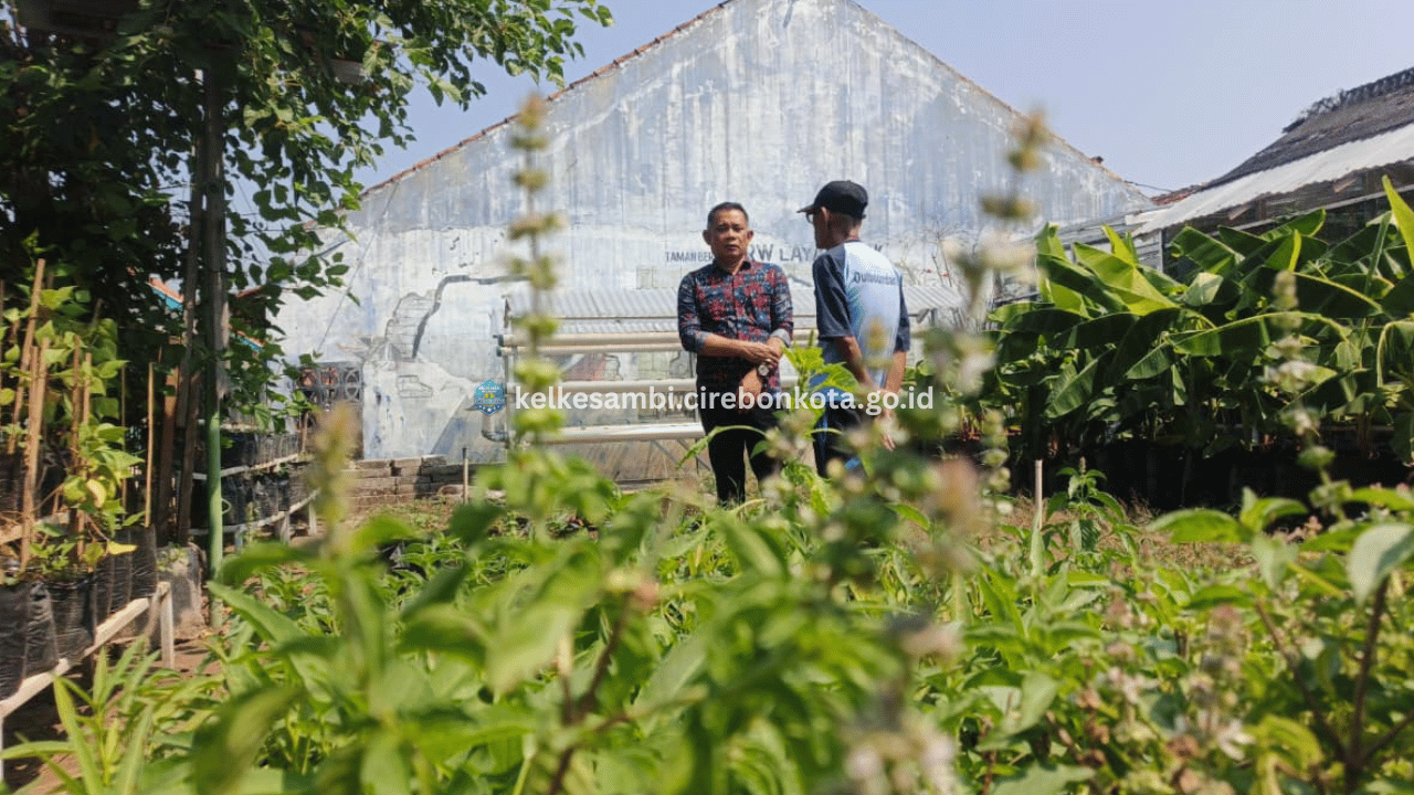 Lurah Kesambi Tinjau Lokasi Rencana Pengembangan Budidaya Maggot dan Ayam Petelur